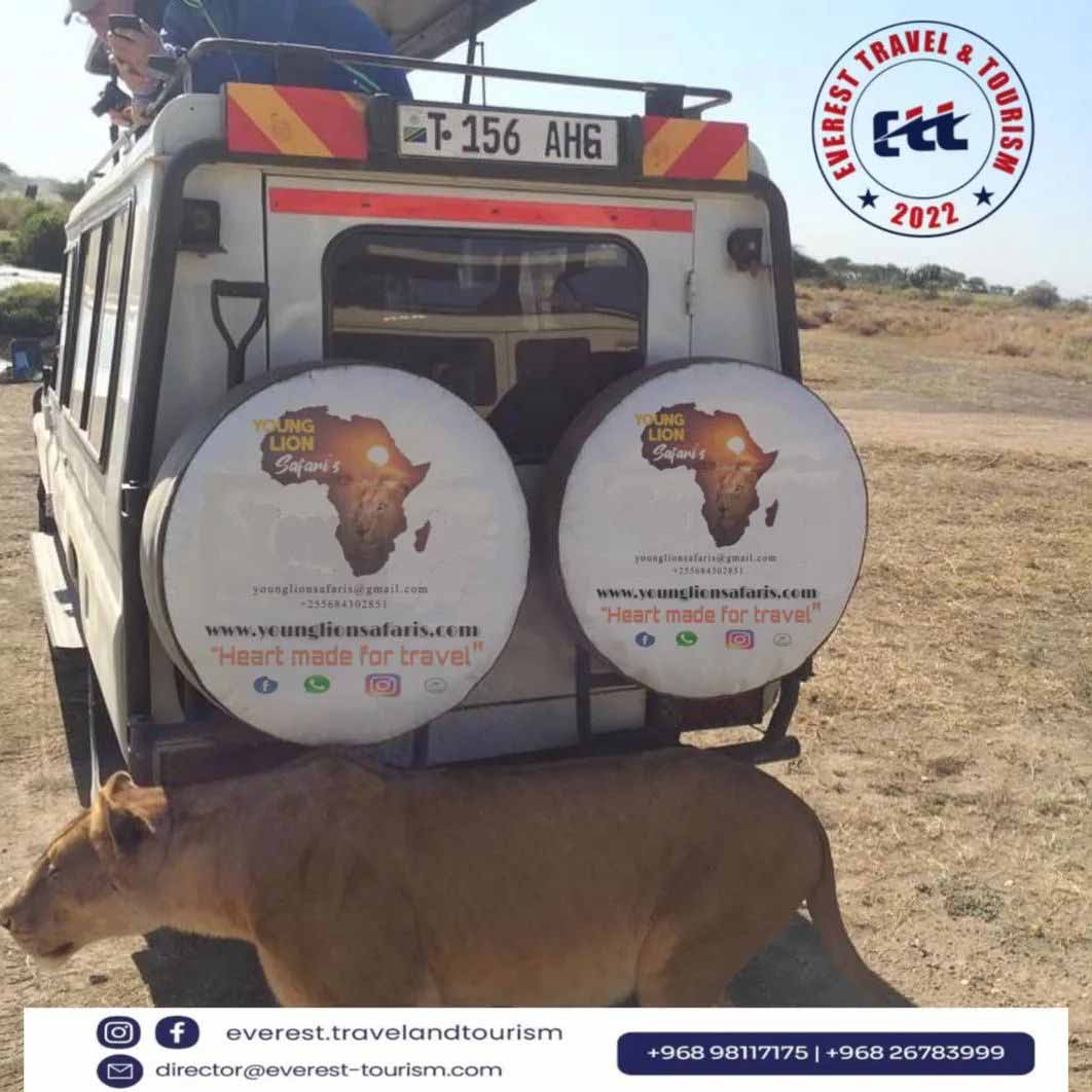 ett-media-management